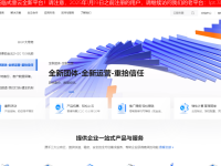 弎壹云香港AMD高性能8H2G服务器新春活动低于10元/月!