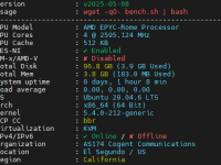 【三字母域名+双ISO认证】非凡云洛杉矶VPS深度测评:CN2/9929/CMIN2三线加持,4核4G仅20元起?